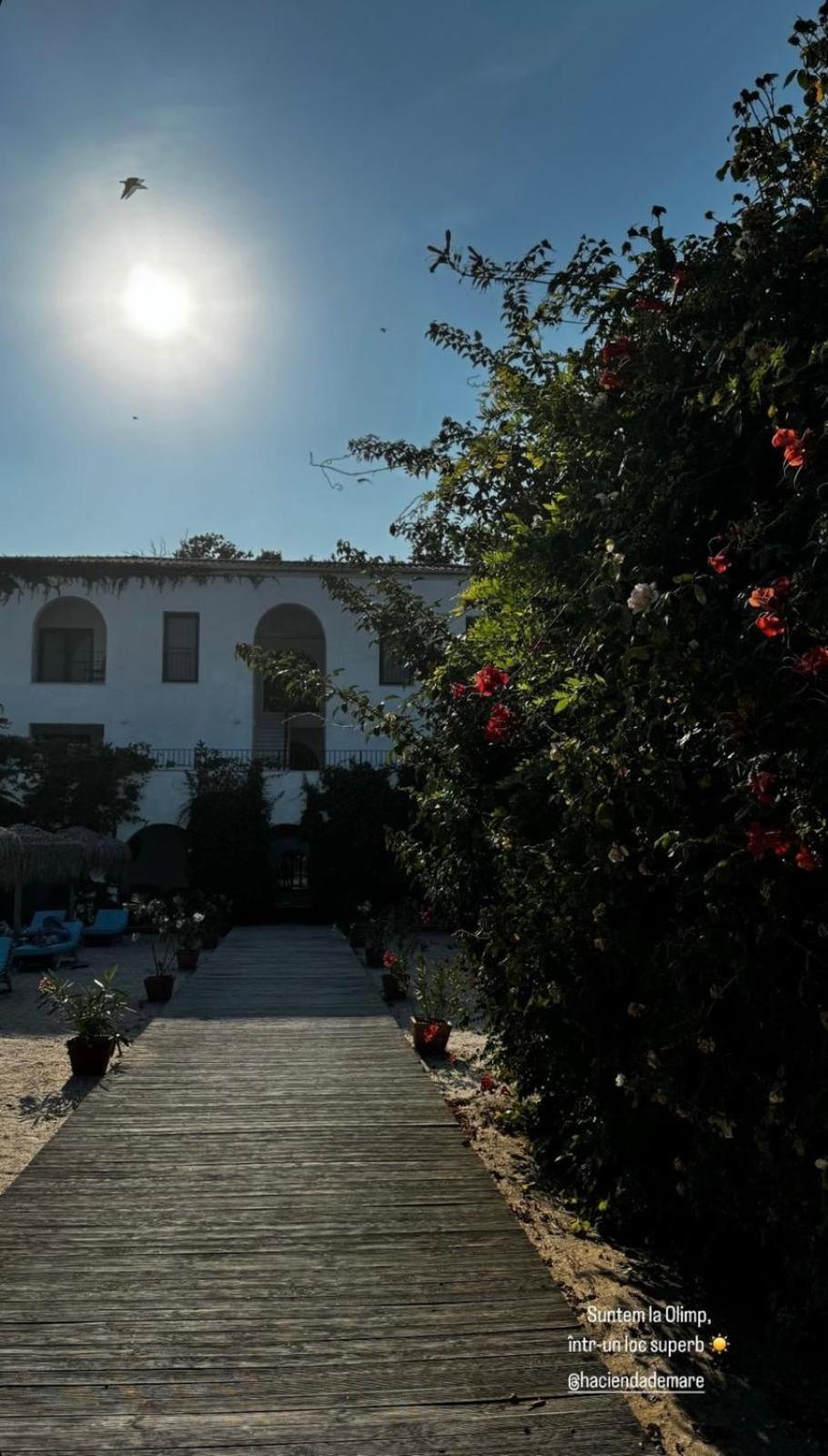Hotel Hacienda De Mare