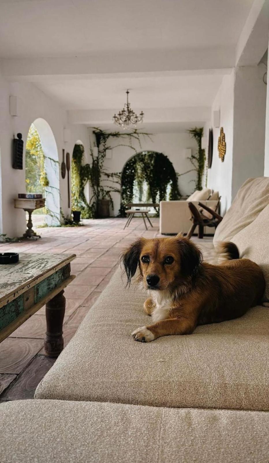Hotel Hacienda De Mare Olimp